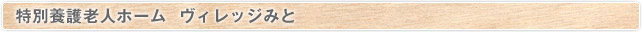 特別養護老人ホームヴィレッジみと